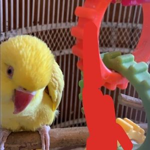 Meet your Posher, Maria